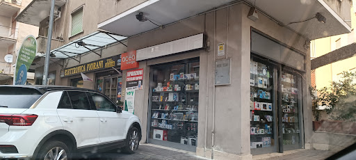 Elettronica Fiorani