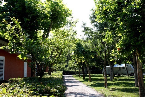 Camping Four Seasons - Village Marche by null