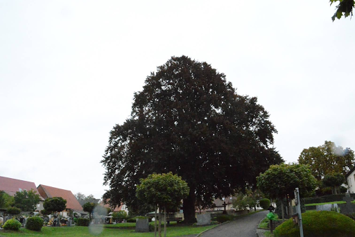 Friedhof Brettach Logo