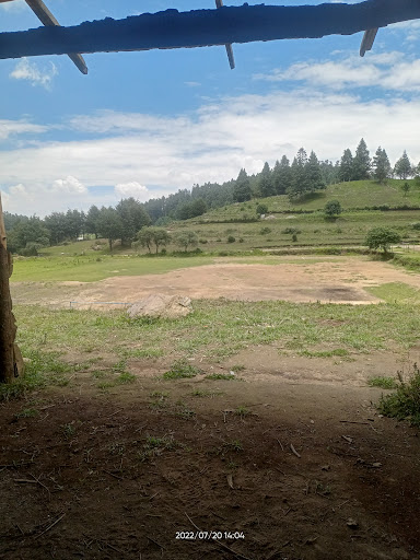 Campos la glorieta - Thumbnail