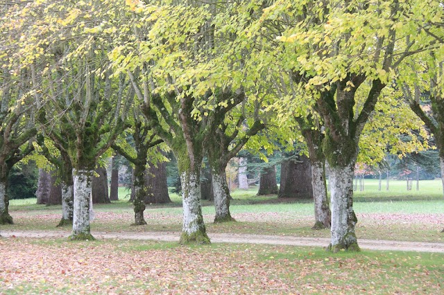 Chateau, Parc et Jardins d'Azay-le-Ferron