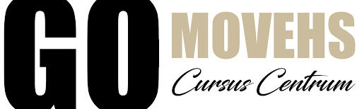 GO MOVEHS - Visual