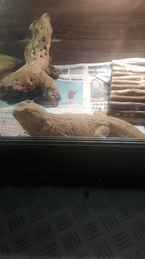 Chicos Pet Supplies