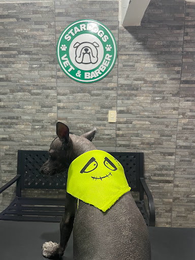 Stardogs Veterinaria & Barber - Thumbnail