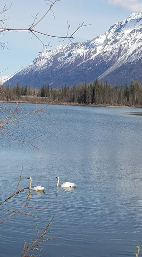 Palmer Hay Flats State Game Refuge Gallery - United States