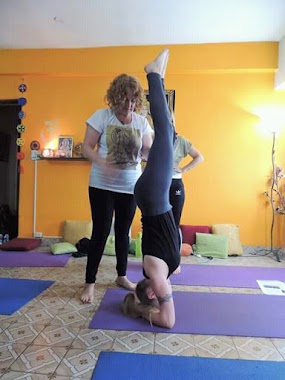 Dharma Yoga, Author: vanesa Bartolotti