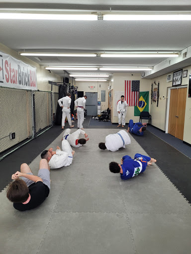 Bobcat MMA - Visual