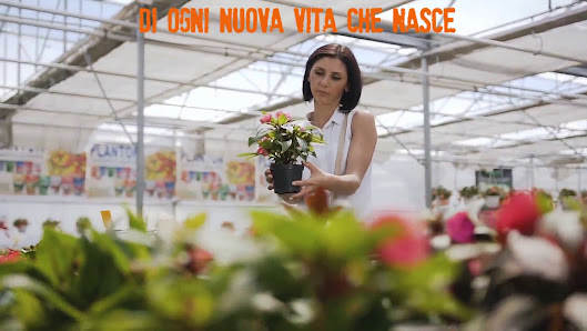 Emporio Verde Sollini Contrada Ete, 54/D, 63900 Fermo FM, Italia