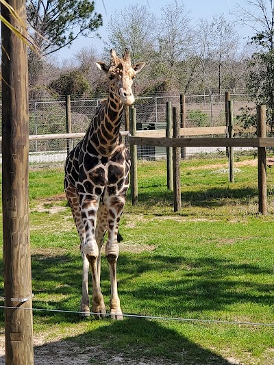 Alabama Gulf Coast Zoo