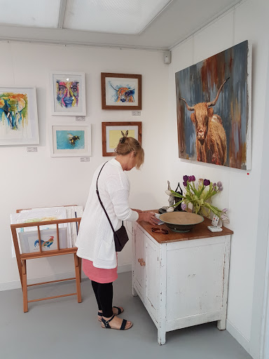 Bow Jangles Gallery - Visual
