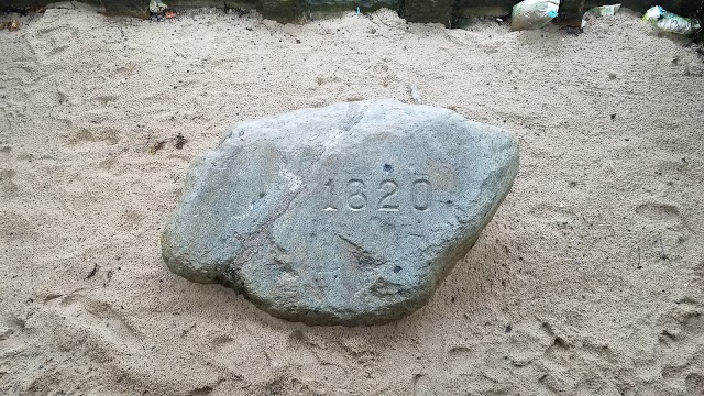 Plymouth Rock