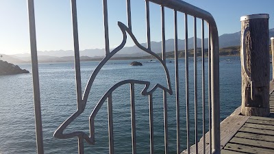 Photos of Kaikoura Gateway Motor Lodge