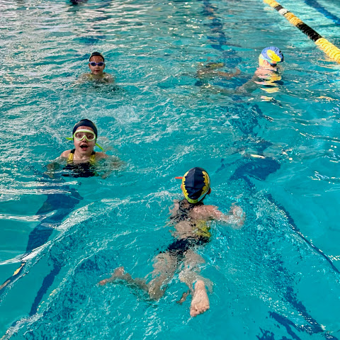 Gotham City Swim School by null