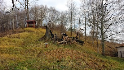 Photos of Tourism and Relaxation Centre Plosti