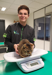 Photo n°15 de Clinique Vétérinaire des Pommiers à Coutances (Vétérinaire)