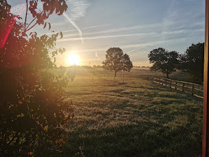 Photo n°5 de Écurie d’Eclaire à Remouillé (Écurie)