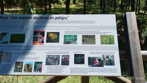 Área recreativa _El Alboñón o Albuñol_