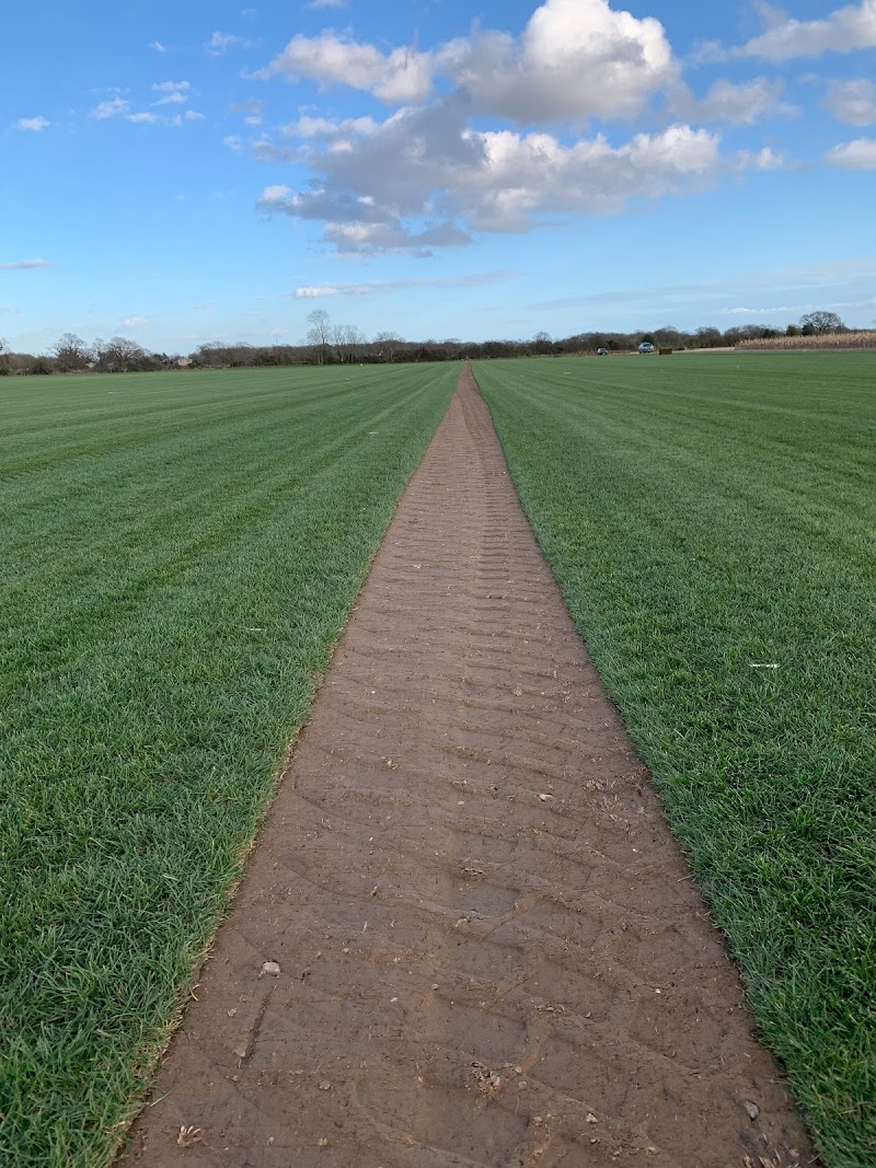 George Wright Farms photo 3