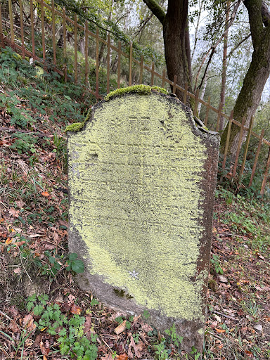 Jüdischer Friedhof Oberwesel - Thumbnail