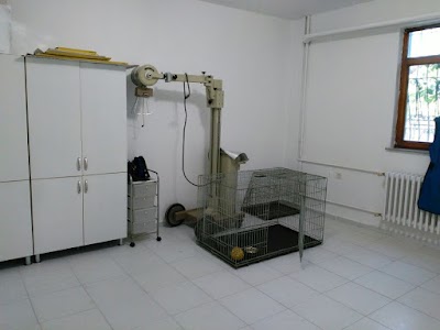 Photos of Star Veterinary Clinic