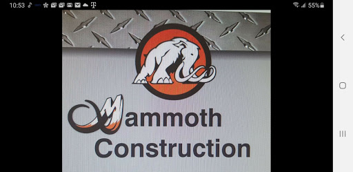 Avatar for Mammoth Construction