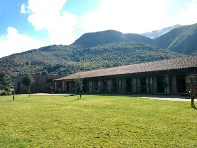 Photos of Vi&ntilde;a Las Araucarias