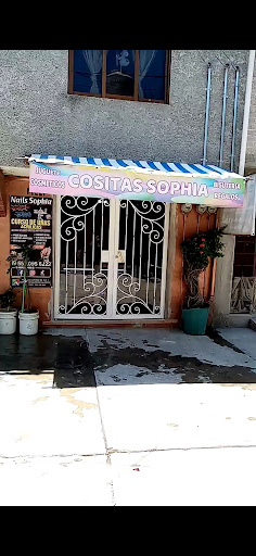 Nails Sophia Logo