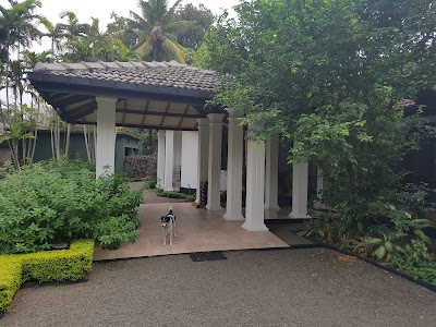 Photos of Camellia Dwellings