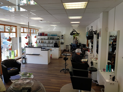Salon Daniela - Visual