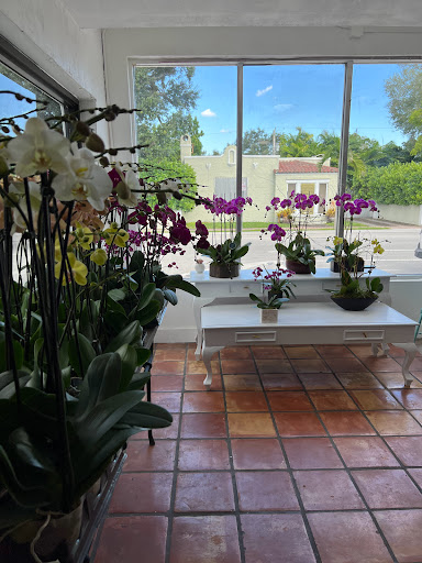 Garden Gate Orchids Coral Gables - Thumbnail