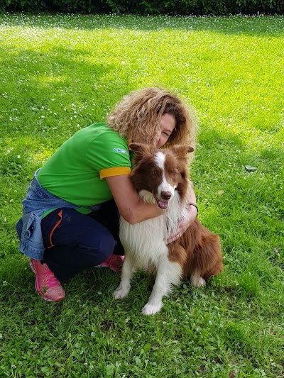 Ambulatorio Veterinario Dott Sa Capotosti Angela