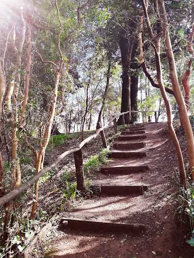 Photos of Guillermo Harnecker Park
