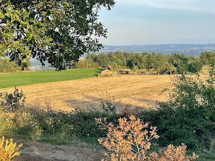 Photo n°7 de Aire naturelle de camping LA RUTY à Chavanay (Terrain de camping)