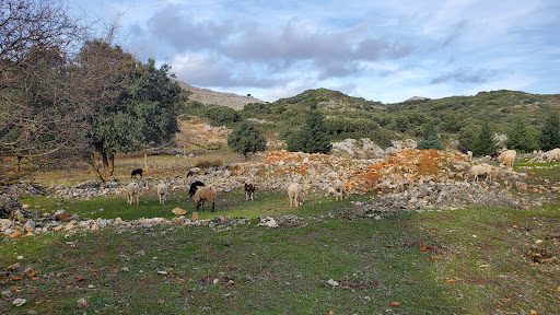 Entrada Parque Natural Sierra de las Nieves Gallery - Spain
