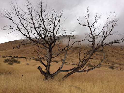 Fairview Peak - Thumbnail