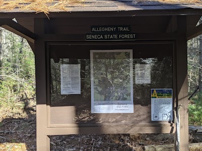 Allegheny Trail (Seneca State Forest Trail-head)