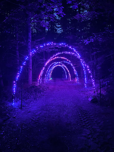 Nyte Walk - Thumbnail