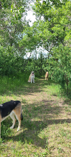 MyWalkies - Visual