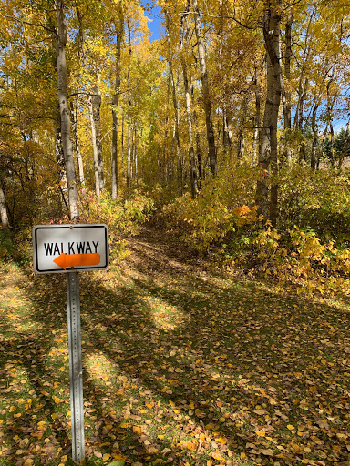 Whitegull Trails Logo