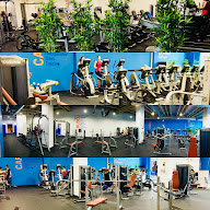 l'Orange bleue à Urrugne