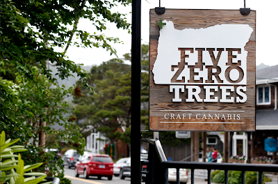 Five Zero Trees Cannon Beach