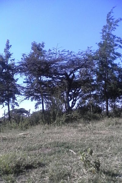 Photos of Nkareta Secondary School