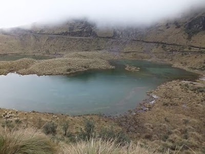Photos of Ayora Park
