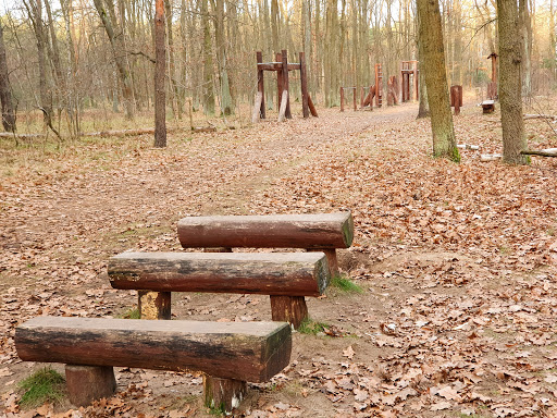 Siłownia plenerowa w lesie na Płudach