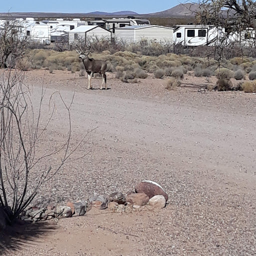 Hidden Valley Ranch RV Resort Gallery - United States