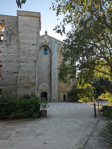 Cathédrale de Maguelone