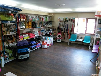 Photos of Star Veterinary Clinic