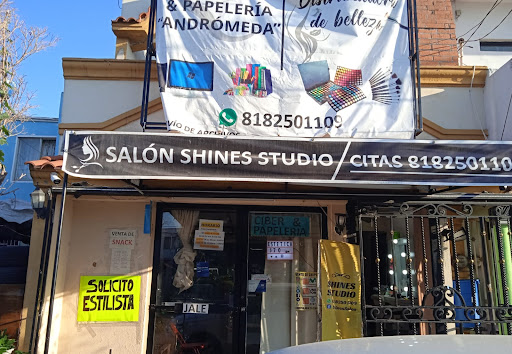 PAPELERIA Y ABARROTES ANDROMEDA Logo