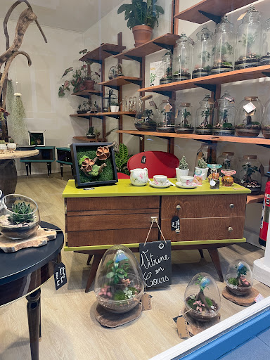 Hestia Concept Store - Thumbnail