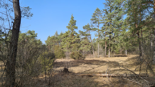 Kuhheide - Visual